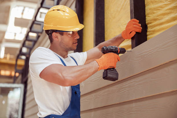 Best Custom Siding Design  in Kodi, AK