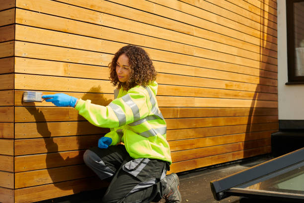 Best Brick Veneer Siding  in Kodi, AK