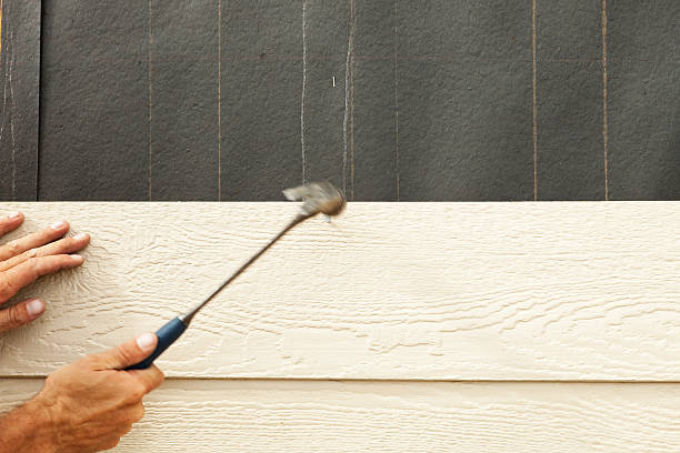 Best Insulated Siding Installation  in Kodi, AK